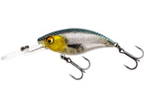 Westin Buzzbite Lures