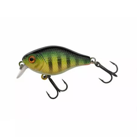 Berkley Pulse Fry Shallow 38b